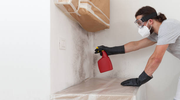Professional Black Mold Remediation technician working in Roslyn Heights, NY
